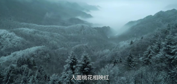 央视新剧《主角》来袭！张艺谋监制张嘉益主演，预告一出我就锁定