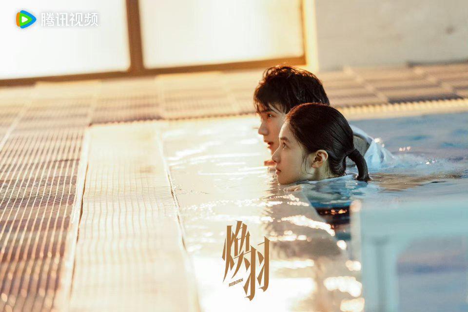 《焕羽》首播口碑出炉，题材创新引共鸣，张婧仪周翊然演技获好评