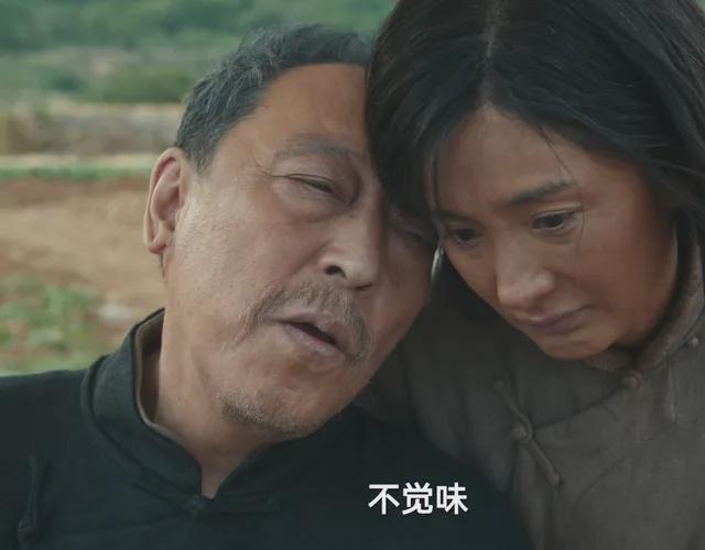 《生万物》导演又来年代剧，梅婷、陈昊宇、李雪琴众星云集，要火
